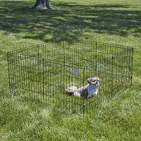 Pets Folding Metal Exercise Pen