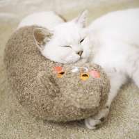 cat pillow neck pillow for pet