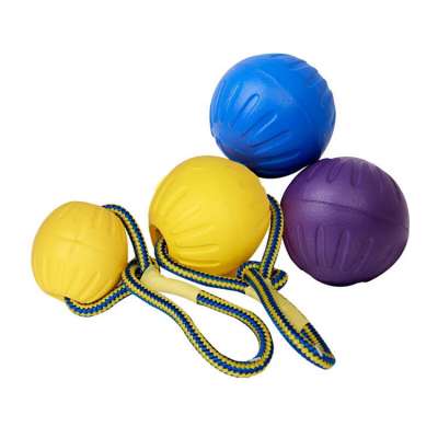 Custom supported eva training pet toys dog toy ball